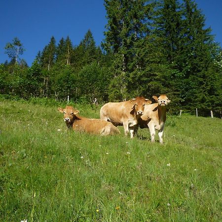 Forsterhof Villa Ramsau am Dachstein Eksteriør bilde